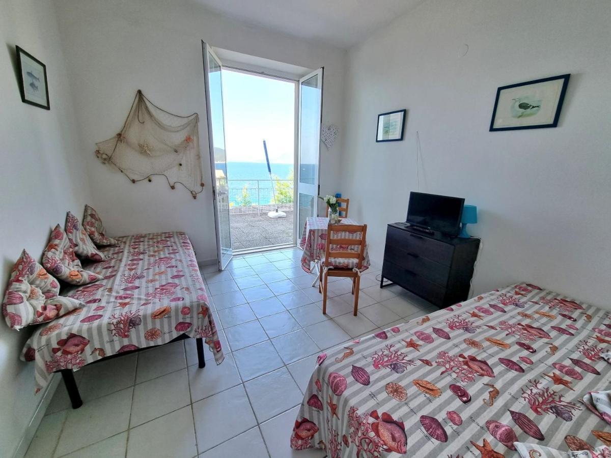 Appartamenti La Terrazza Sulle Ghiaie - Goelba Портоферрайо Номер фото